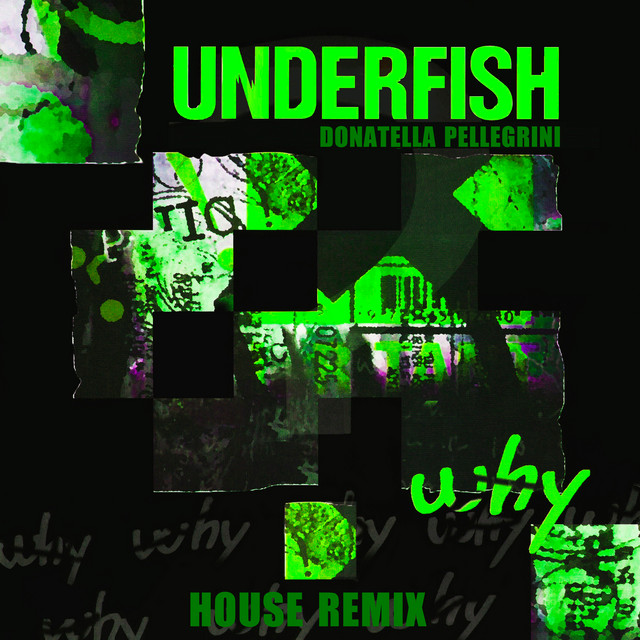 Why - House Radio Edit