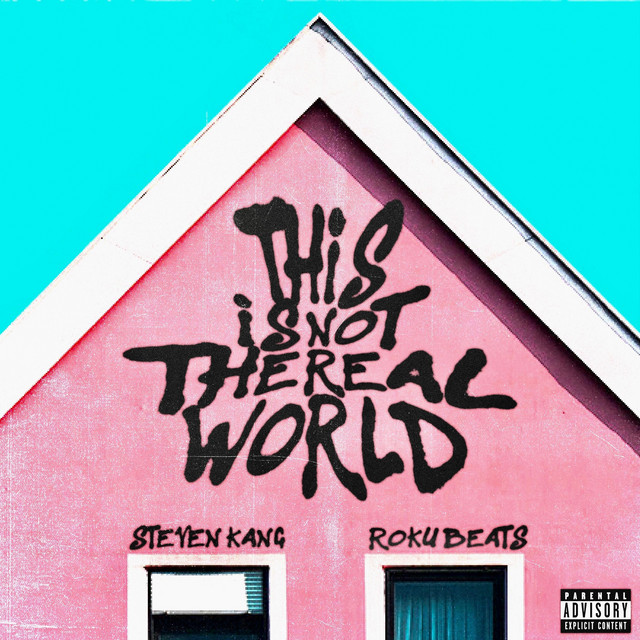 This is Not The Real World artwork
