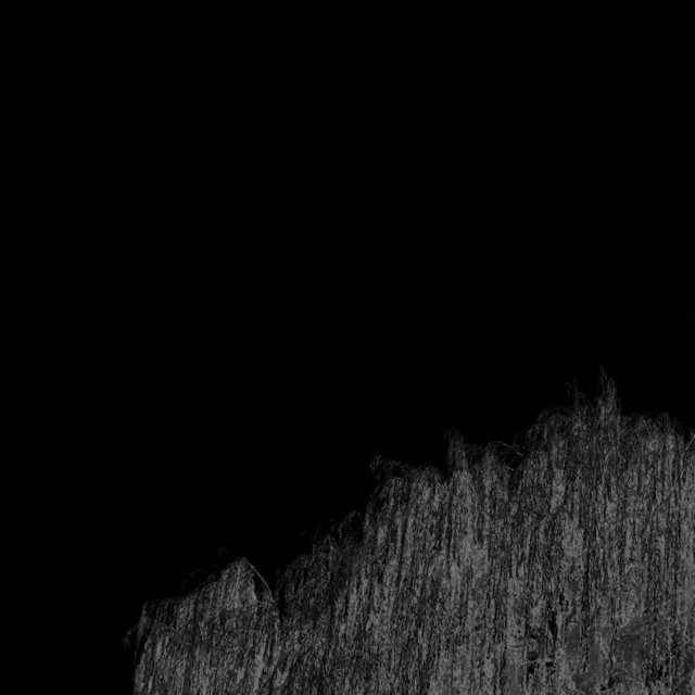 Salix Babylonica cover art