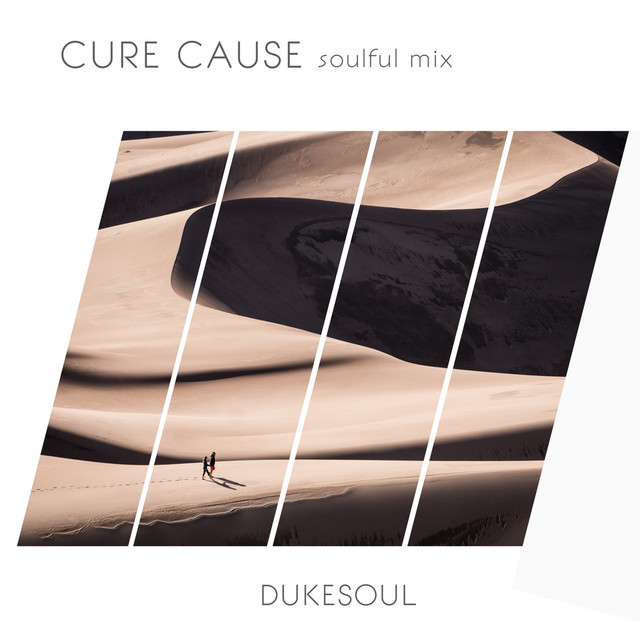Cure Cause - Soulful Mix