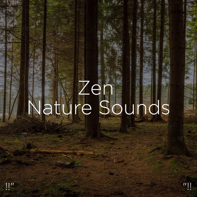 Zen Nature Sounds "!! - Album by Sleep Sounds of Nature | Spotify