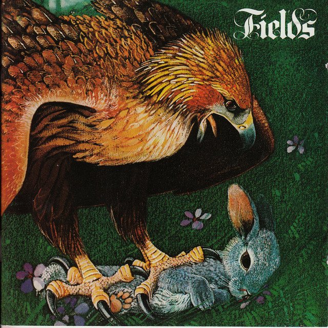 Fields cover art