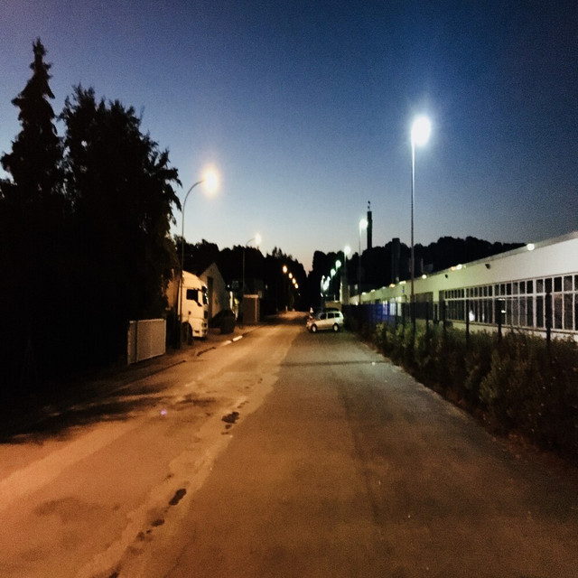 Saarde Photo