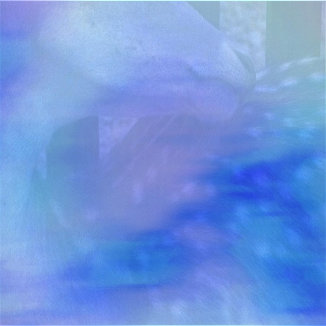 Cover art: evening forest waves — Highhwayy