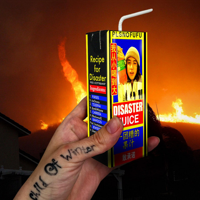 recipe for disaster cover art