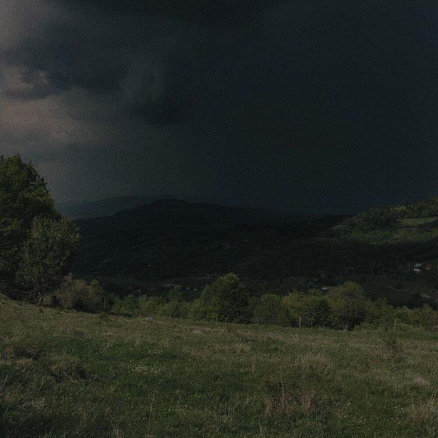 Обкладинка: Your tears a sea — Sollby