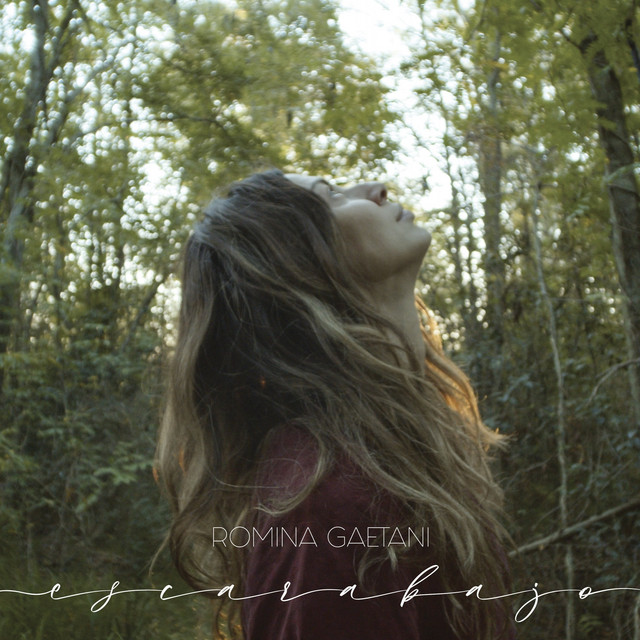 Escarabajo cover art