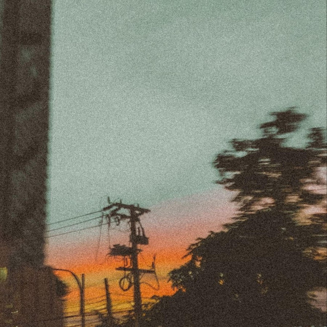 Without You