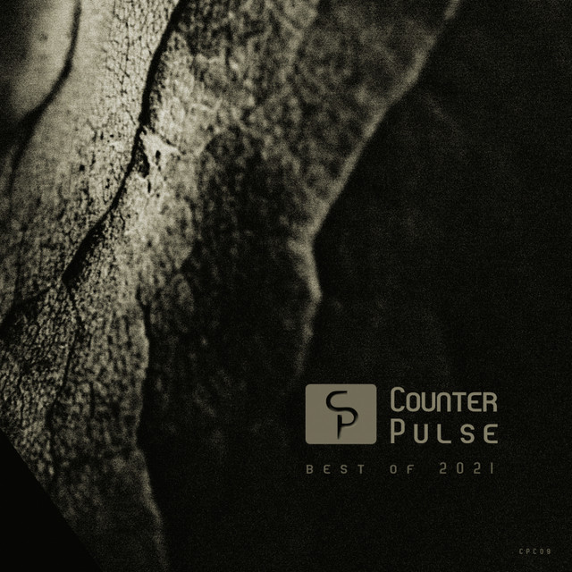 Counter Pulse: Best of 2021 cover art