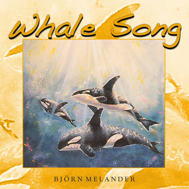 Whale Song cover