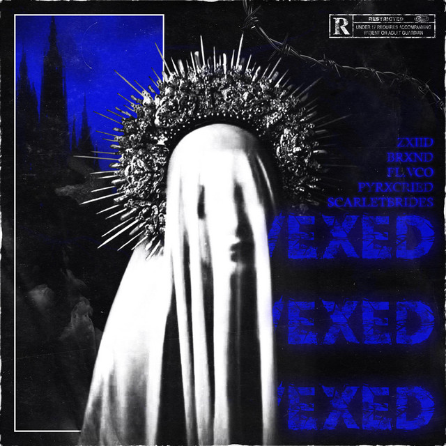 VEXED! - Single by BRXND | Spotify