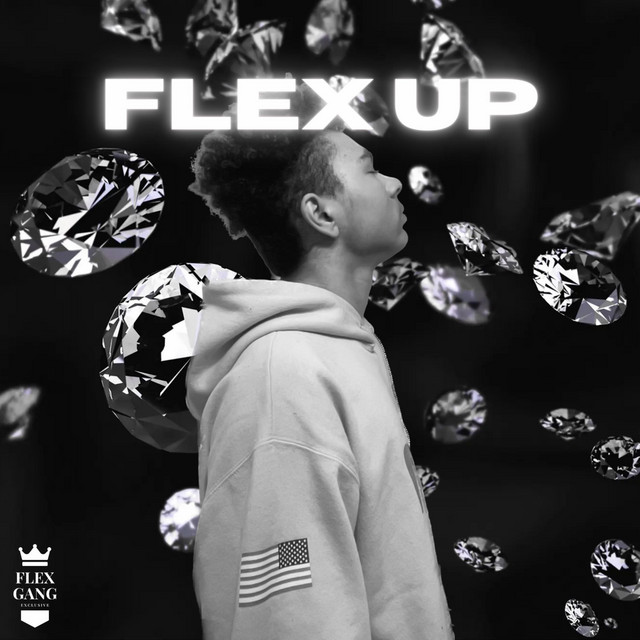 Flex Up cover art