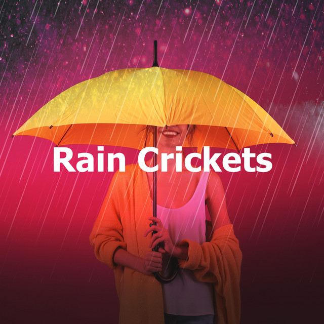 Rain Crickets cover art