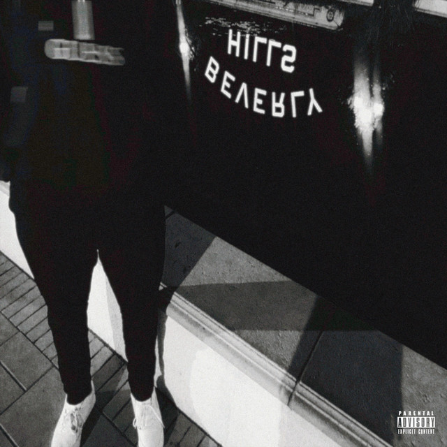 INTERNAL AFFAIRS cover art