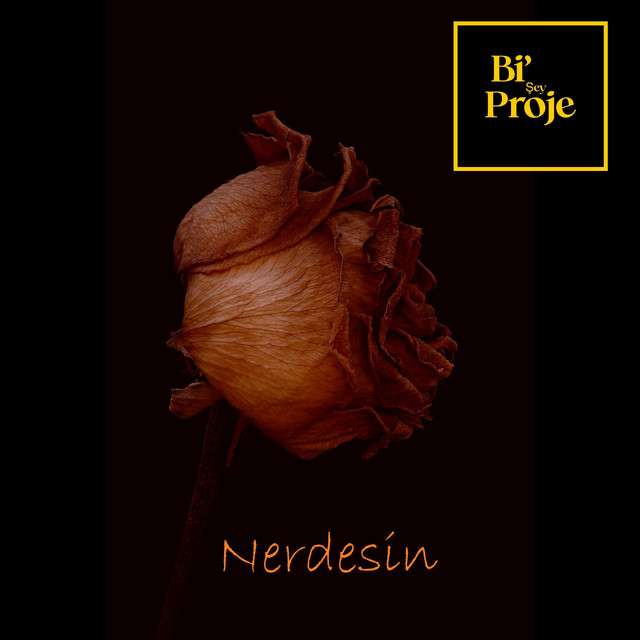 Nerdesin cover art