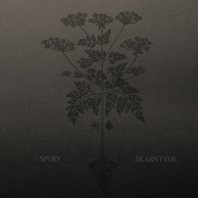 Skarntyde cover art