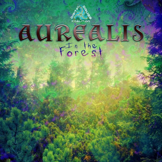 In the Forest cover art