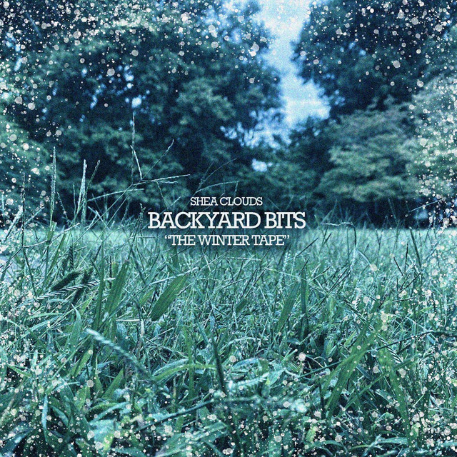 Backyard Bits: The Winter Tape cover art
