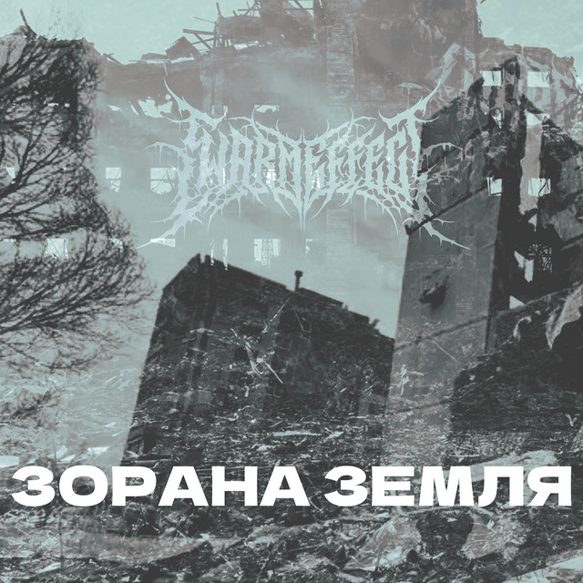 Обкладинка: Зорана земля — Swarm Effect