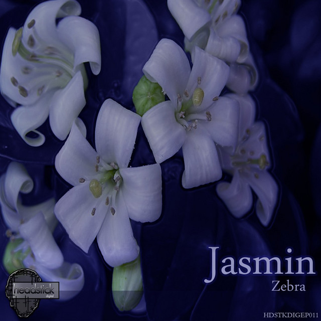 Zebra cover art