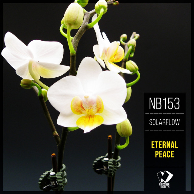 Eternal Peace cover art
