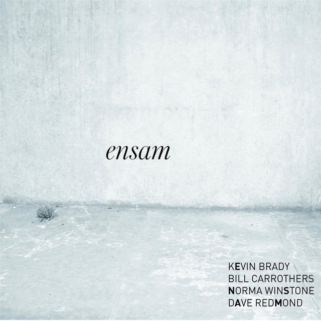 Ensam cover