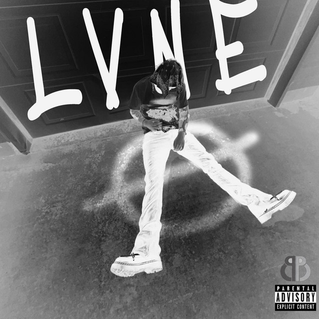 LVNE cover art