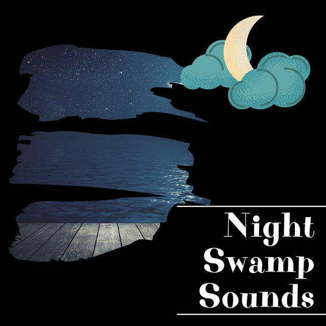Night Swamp Sounds cover art