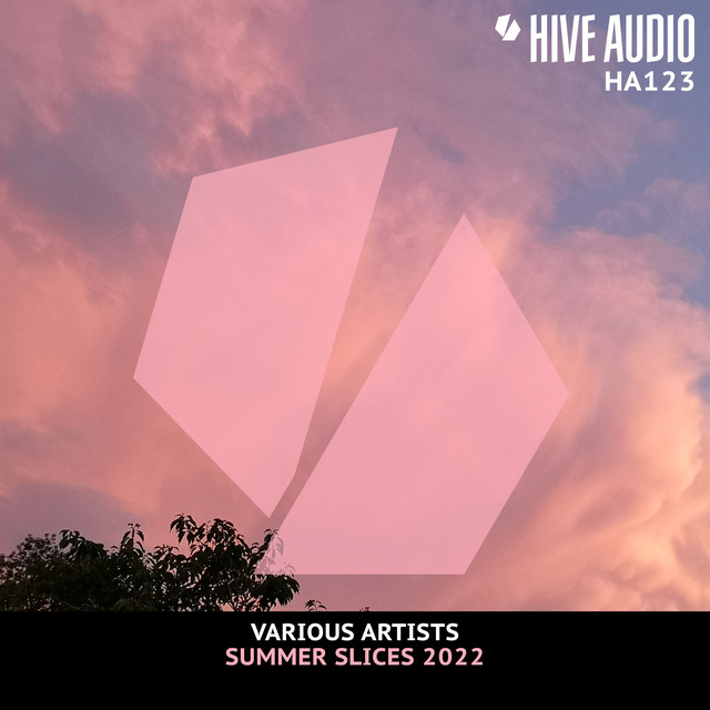 Hive Audio - Summer Slices 2022 cover