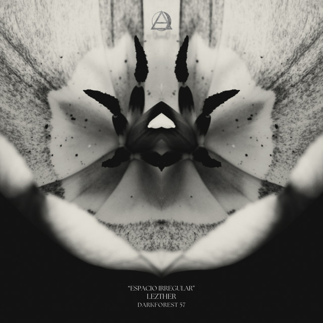 Espacio Irregular cover art