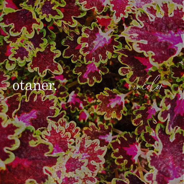 Incolor. cover art
