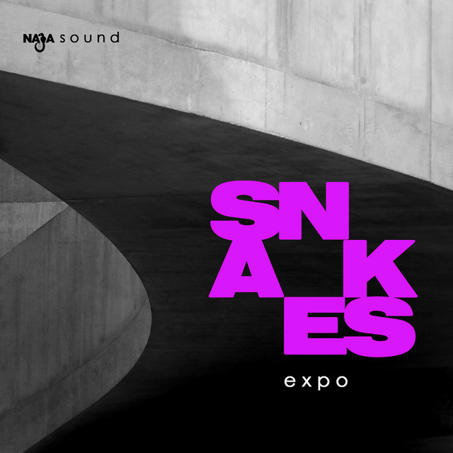 Expo cover art
