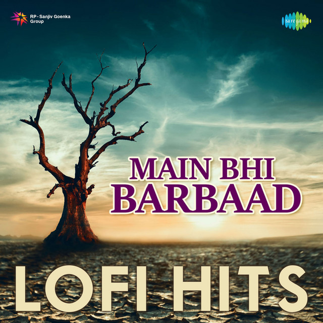 Meri Bheegi Bheegi Si - Lofi