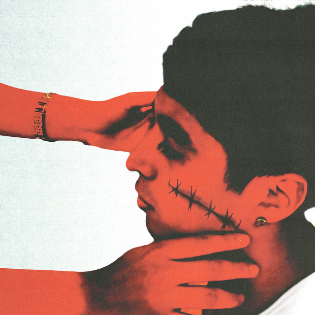 normal cover art