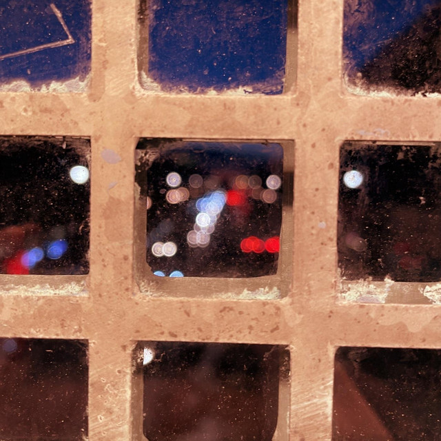 Ladybug cover art
