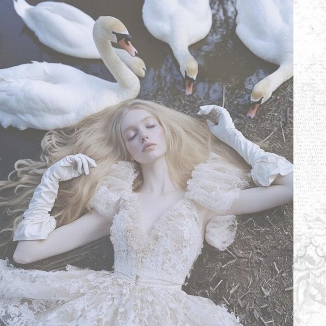 Sweet Swan album image
