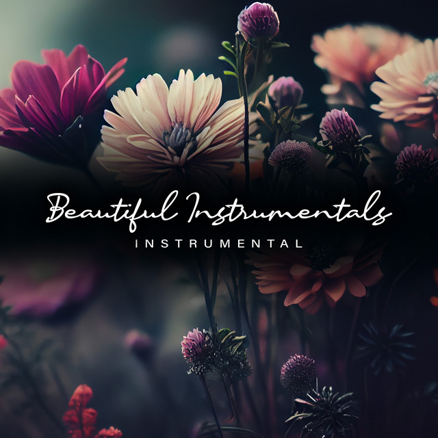 Beautiful Instrumentals - Album by Instrumental | Spotify