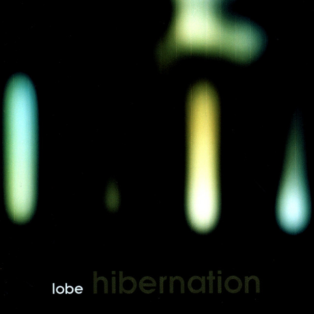 Hibernation cover art