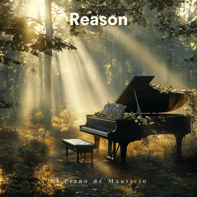 Reason