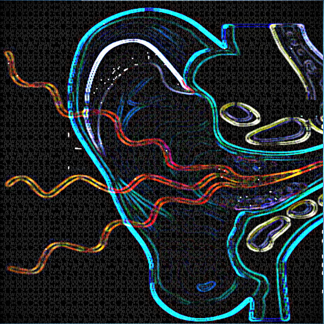 Inner Ear | Spotify