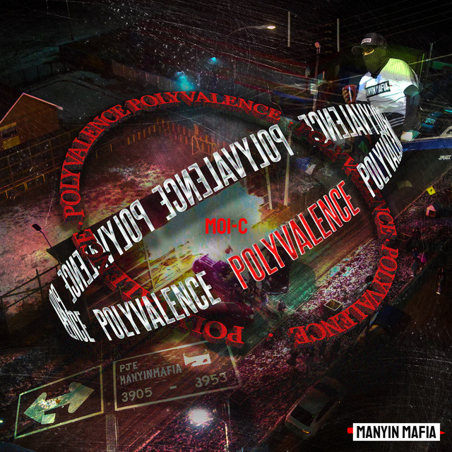POLYVALENCE cover art