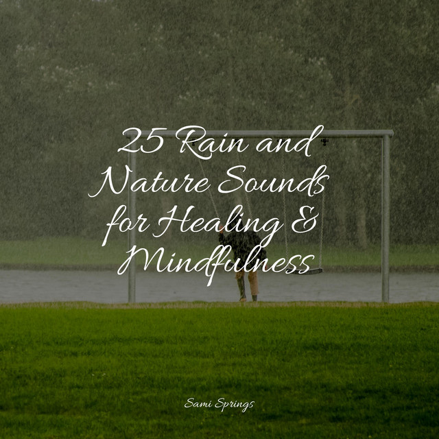 25 Rain and Nature Sounds for Healing & Mindfulness - Album by Wellness ...