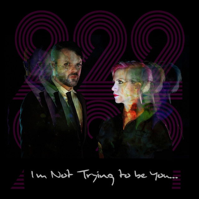 I'm Not Trying to Be You... cover