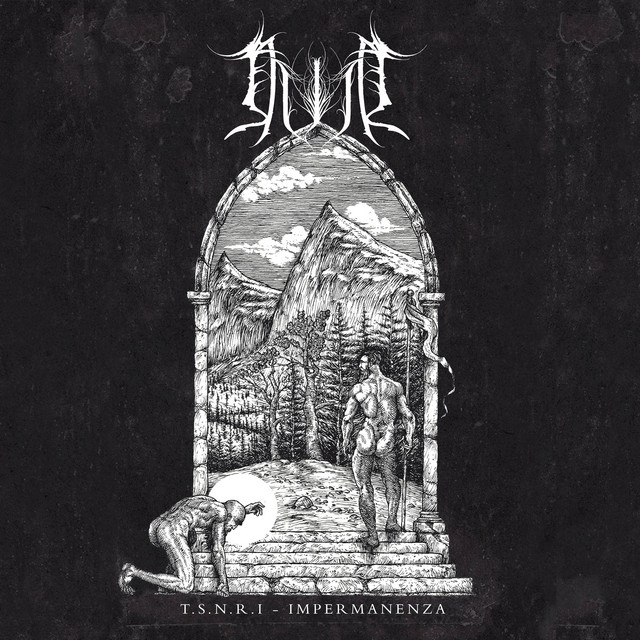 T.S.N.R.I. - Impermanenza cover art