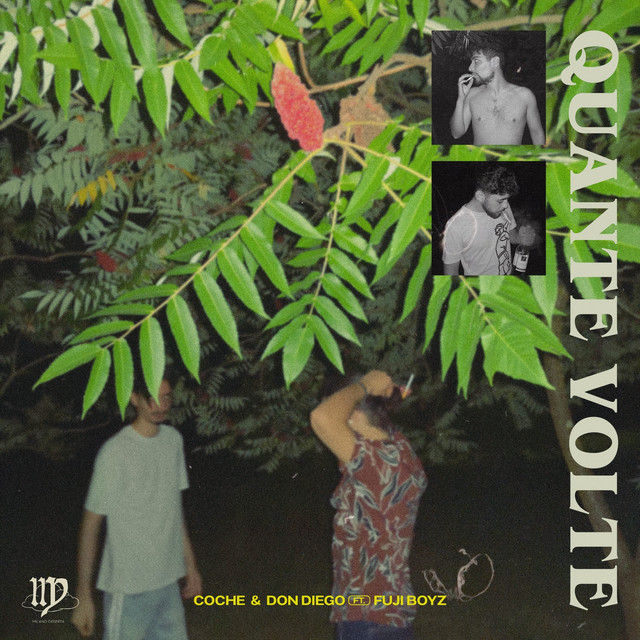 Quante volte cover
