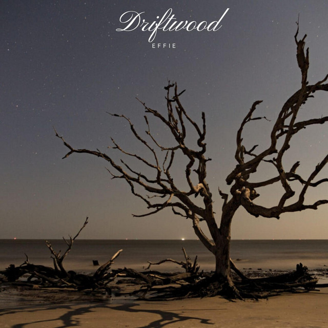 Driftwood - Live from Namm 2020