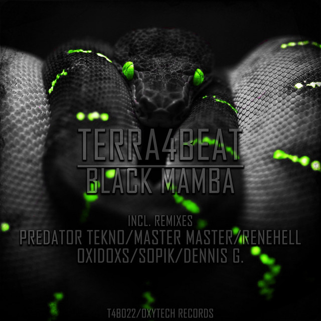 Обкладинка Terra4Beat — Black Mamba
