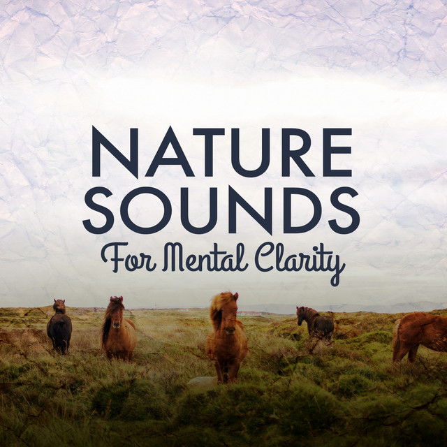 Nature Sounds for Mental Clarity - Album by Nature Sounds for Sleep and ...