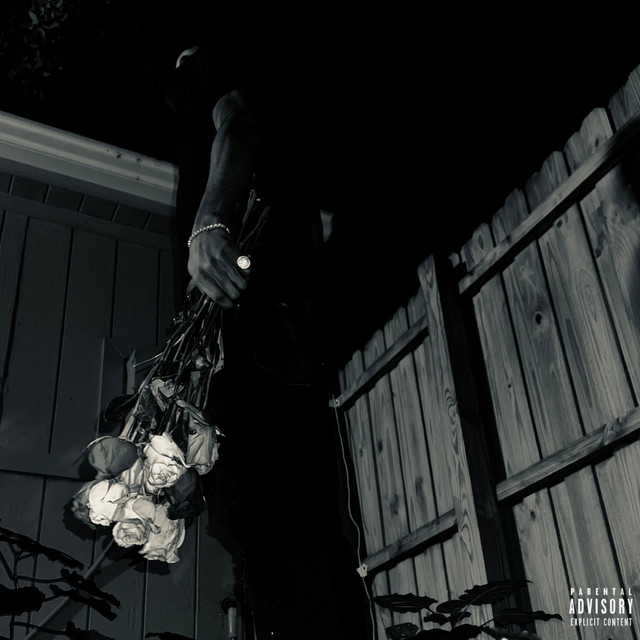 NEW ZAK CITY cover art