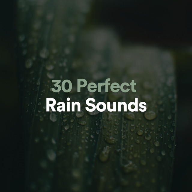 30 Perfect Rain Sounds cover art